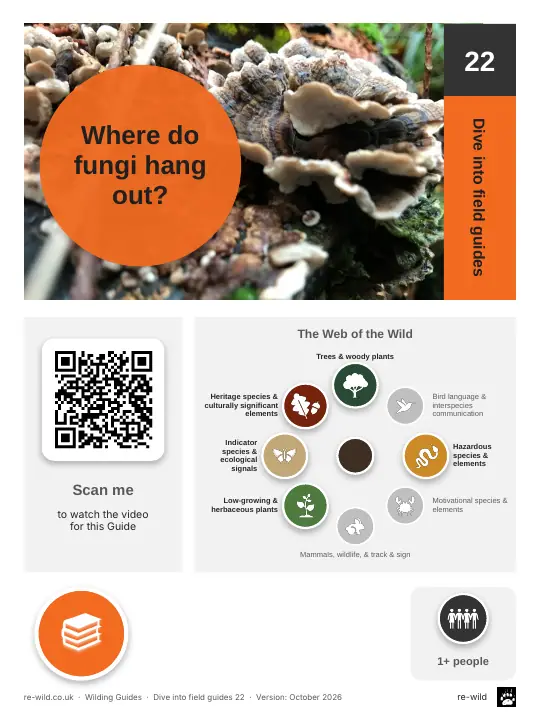 Front of the Where do fungi hang out? activity guide