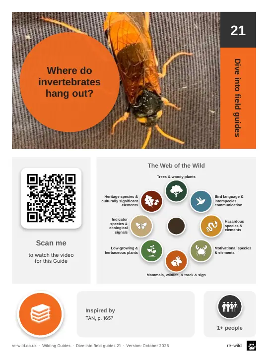 Front of the Where do invertebrates hang out? activity guide