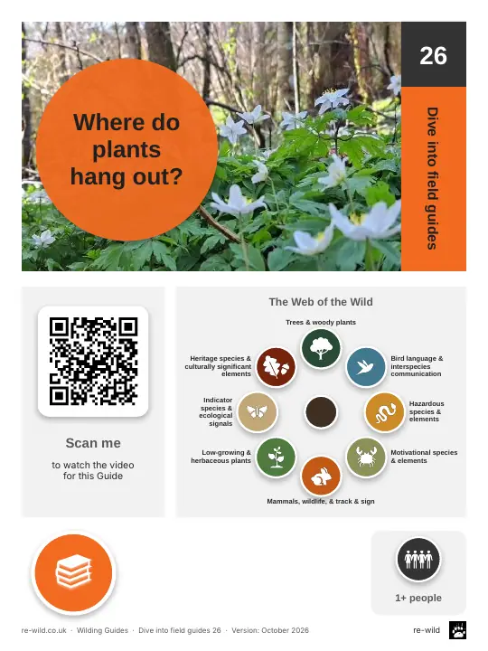 Front of the Where do plants hang out? activity guide