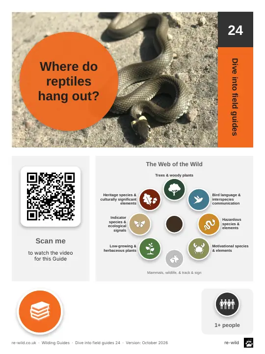 Front of the Where do reptiles hang out? activity guide