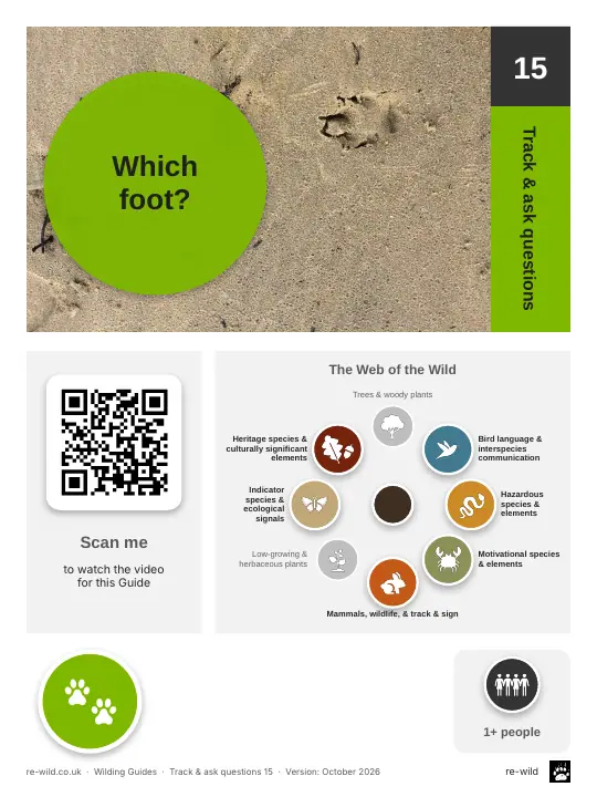 Front of the Which foot? activity guide
