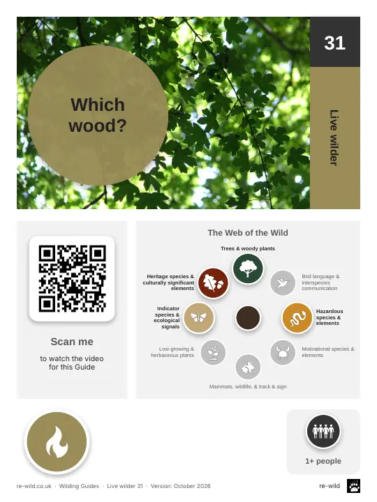 Front of the Which wood? activity guide