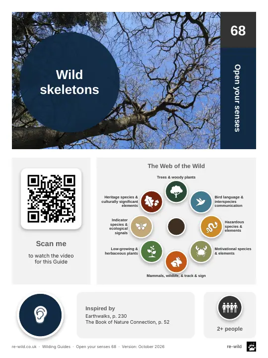 Front of the Wild skeletons activity guide