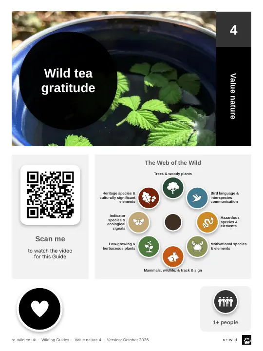 Front of the Wild tea gratitude activity guide