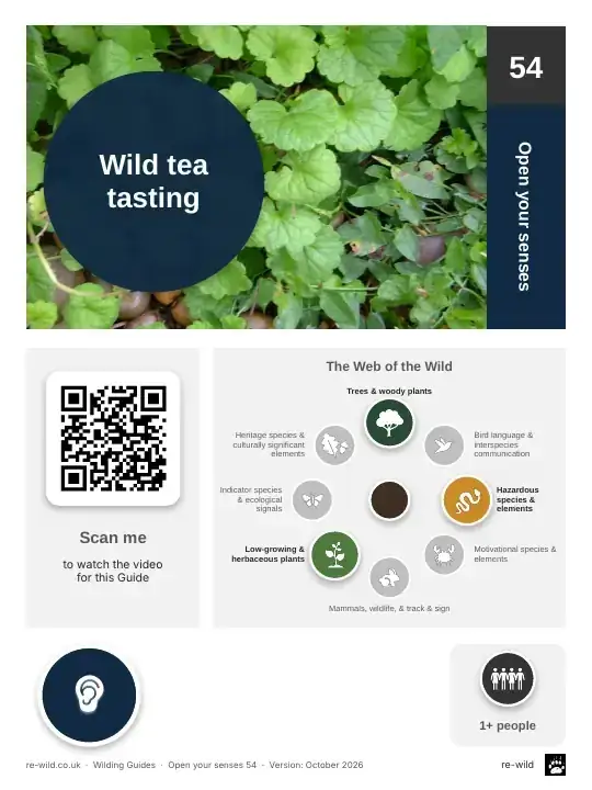 Front of the Wild tea tasting activity guide