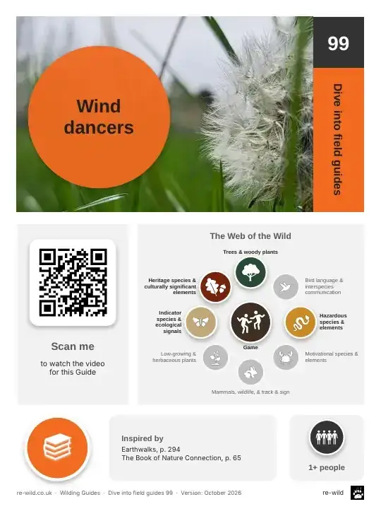 Front of the Wind dancers activity guide