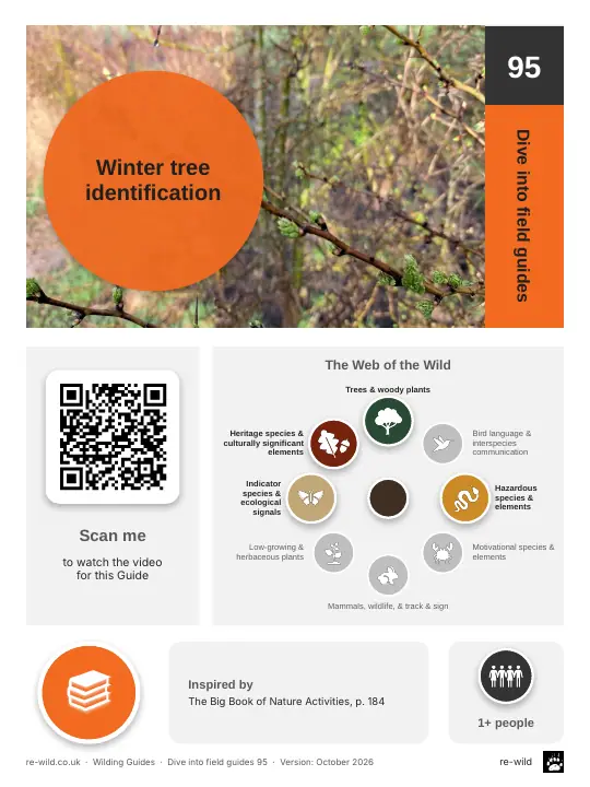 Front of the Winter tree identification activity guide