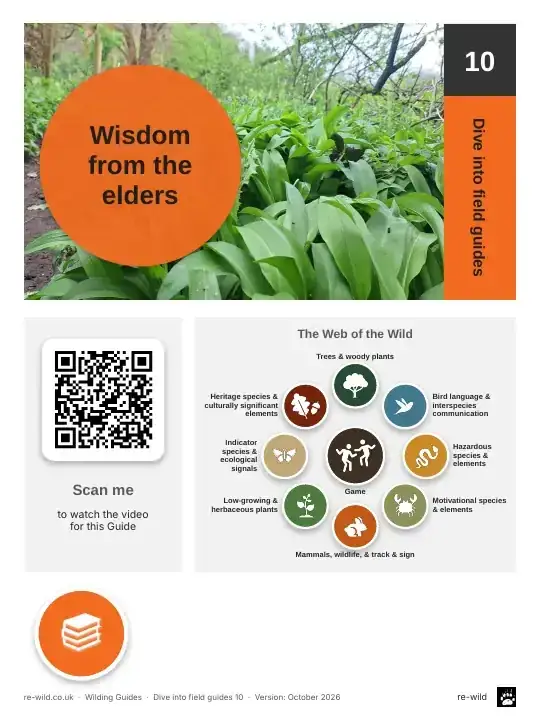 Front of the Wisdom from the elders activity guide