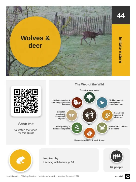Front of the Wolves & deer activity guide