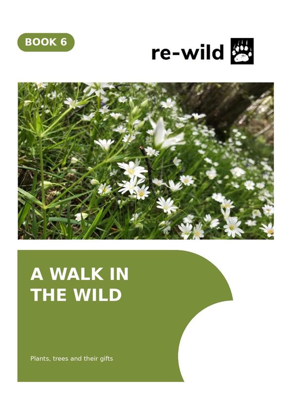 A Walk in the Wild cover