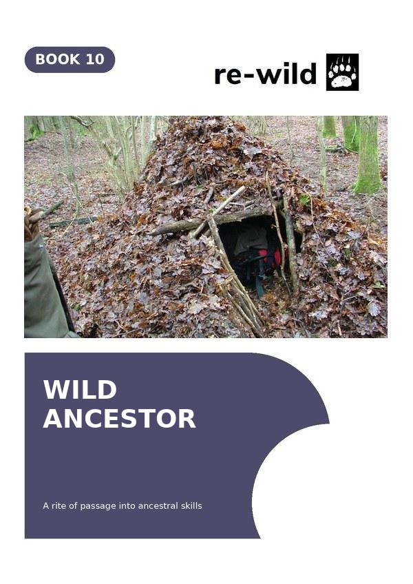 Wild Ancestor cover