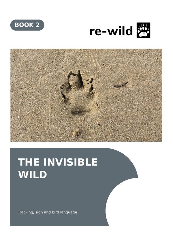 The Invisible Wild cover