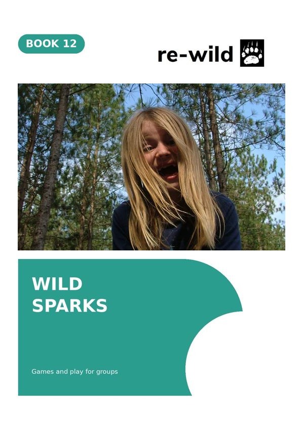 Wild Sparks cover