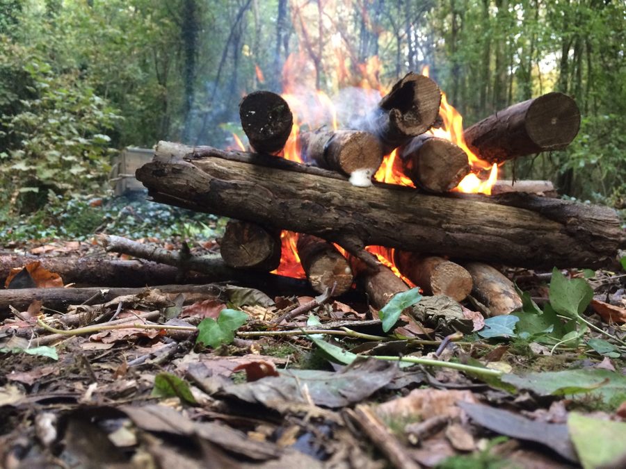 A campfire laid in the woods, ready to gather round