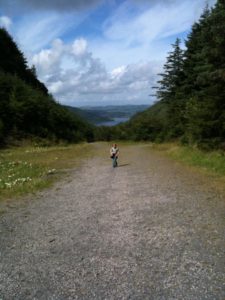 Are we there yet_