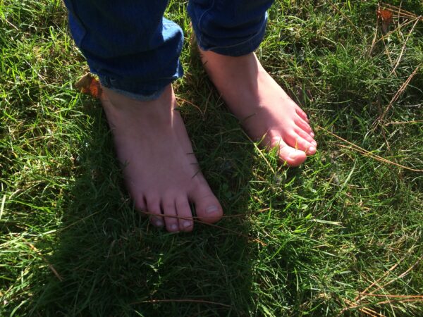 WILD CHILD - Image 4