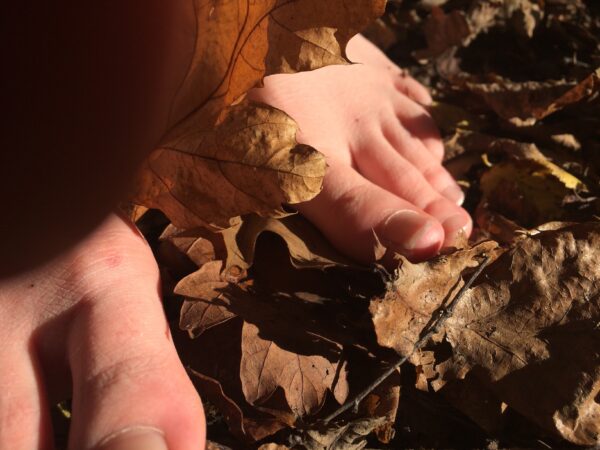 RE-WILD - Image 2