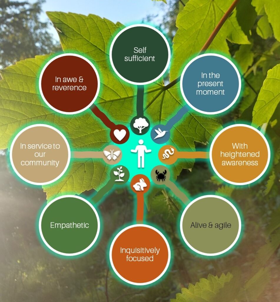 Attributes of connection: in awe and reverence, self-sufficient, in the present moment, with heightened awareness, alive and agile, inquisitively focused, empathetic, in service to our community