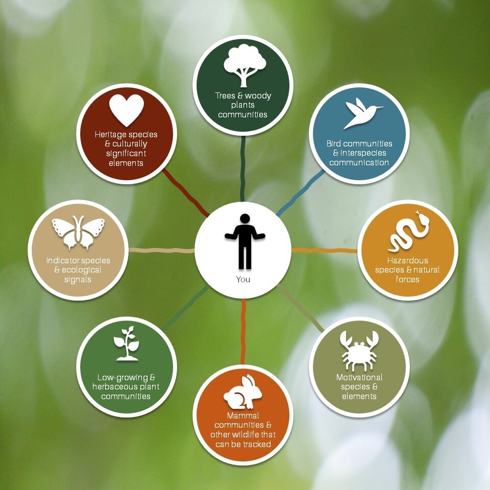 The Web of the Wild: a person at the centre, linked to eight communities of plants, animals, hazards and heritage
